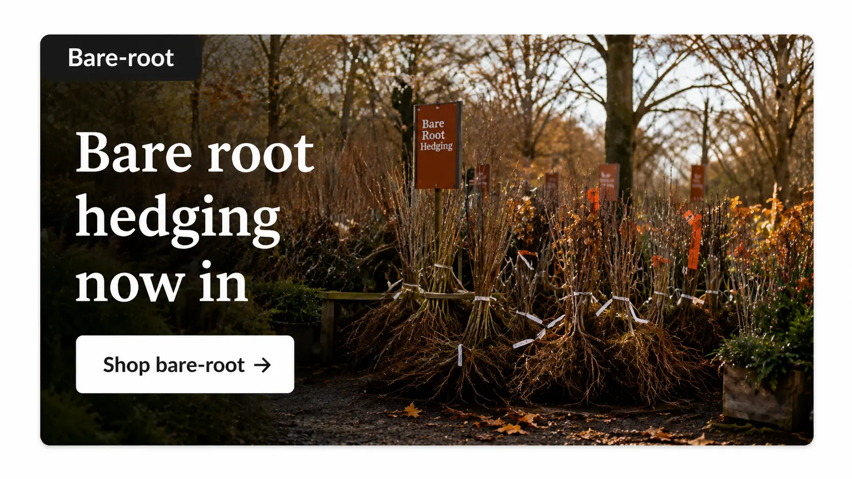 Bare-root nursery website seasonal card
