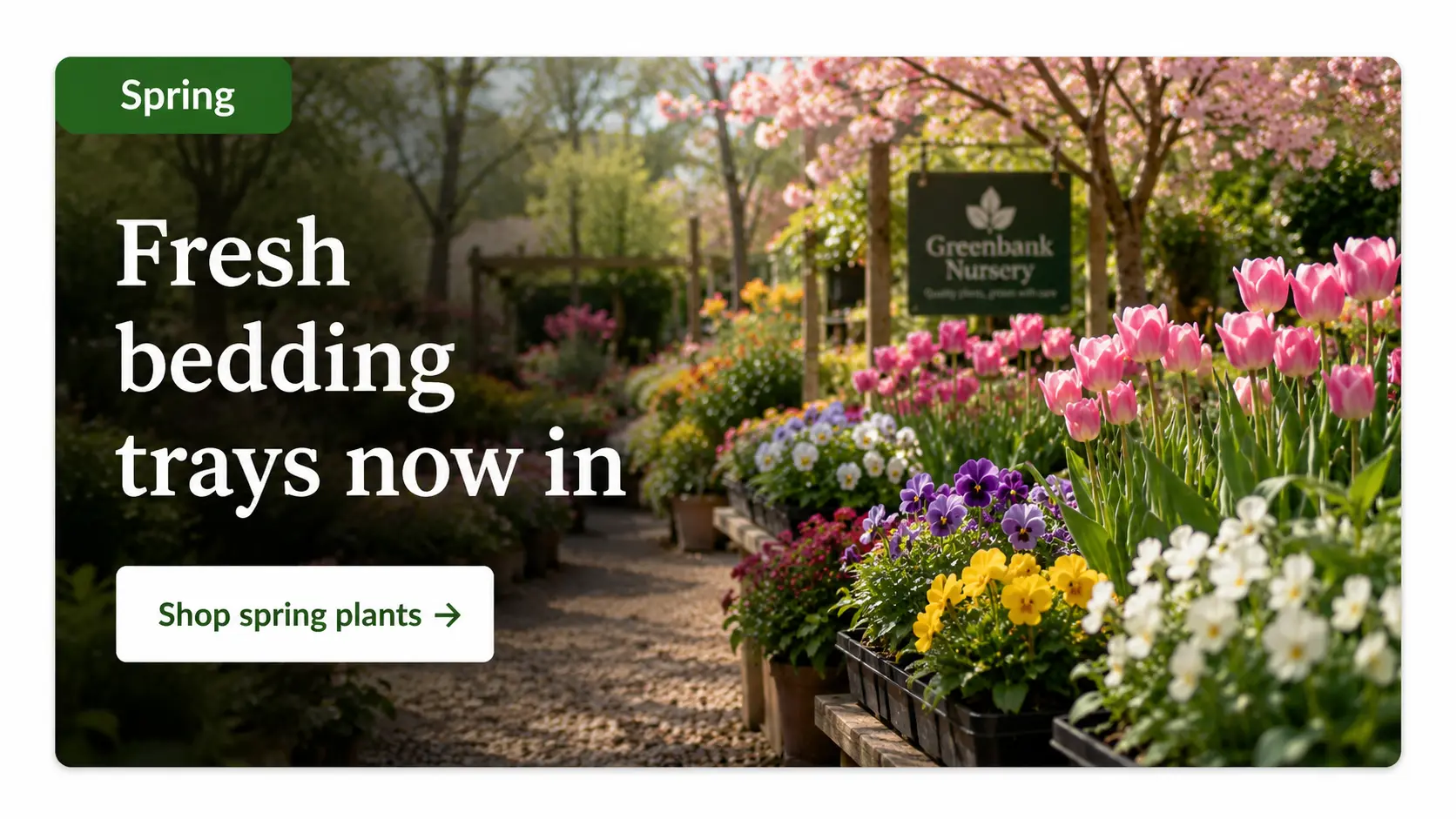 Bedding plants nursery website seasonal card