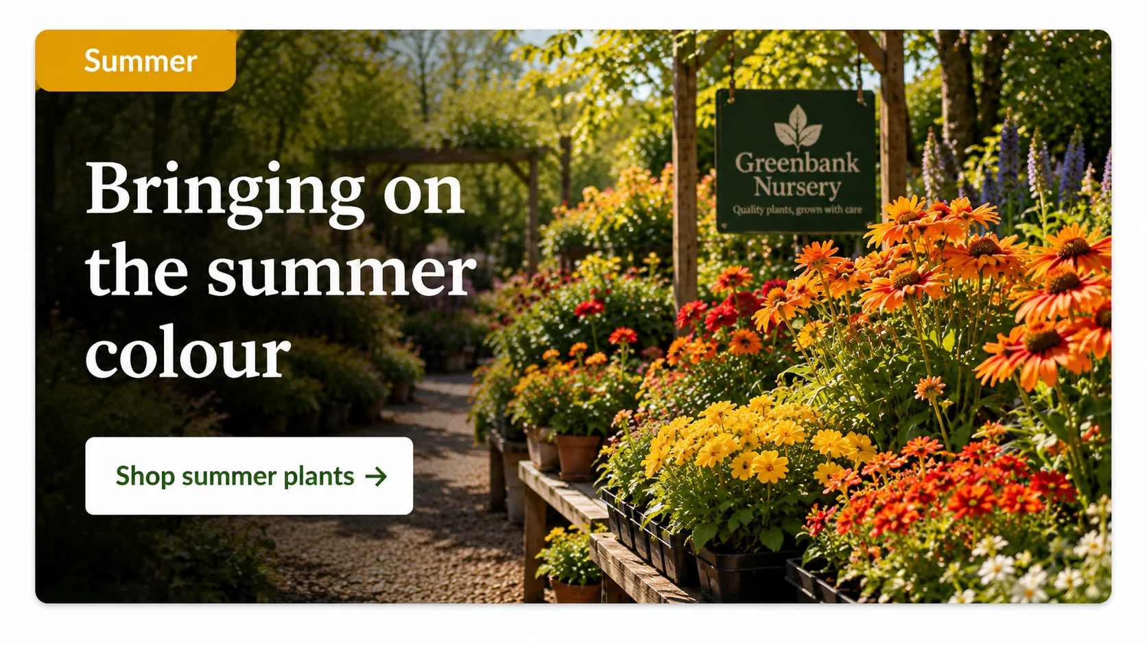 Summer nursery website seasonal card